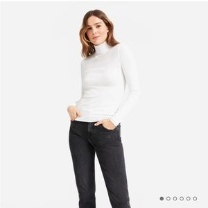 Everlane Pima Micro Rib Turtleneck